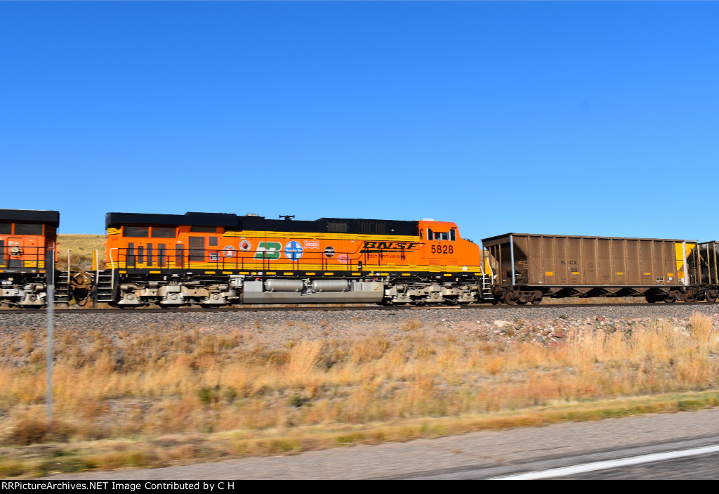 BNSF 5828